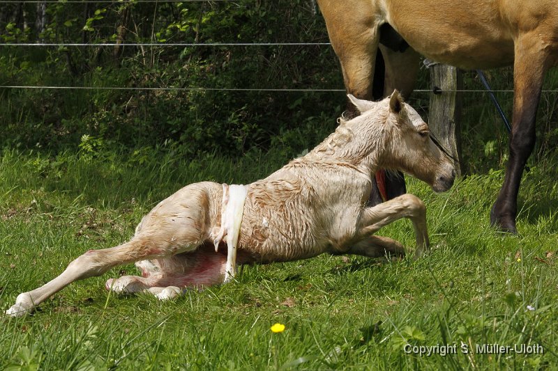 Hjoerdis 14 Min alt (3).JPG